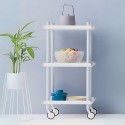 BATHROOM ROLLING CART